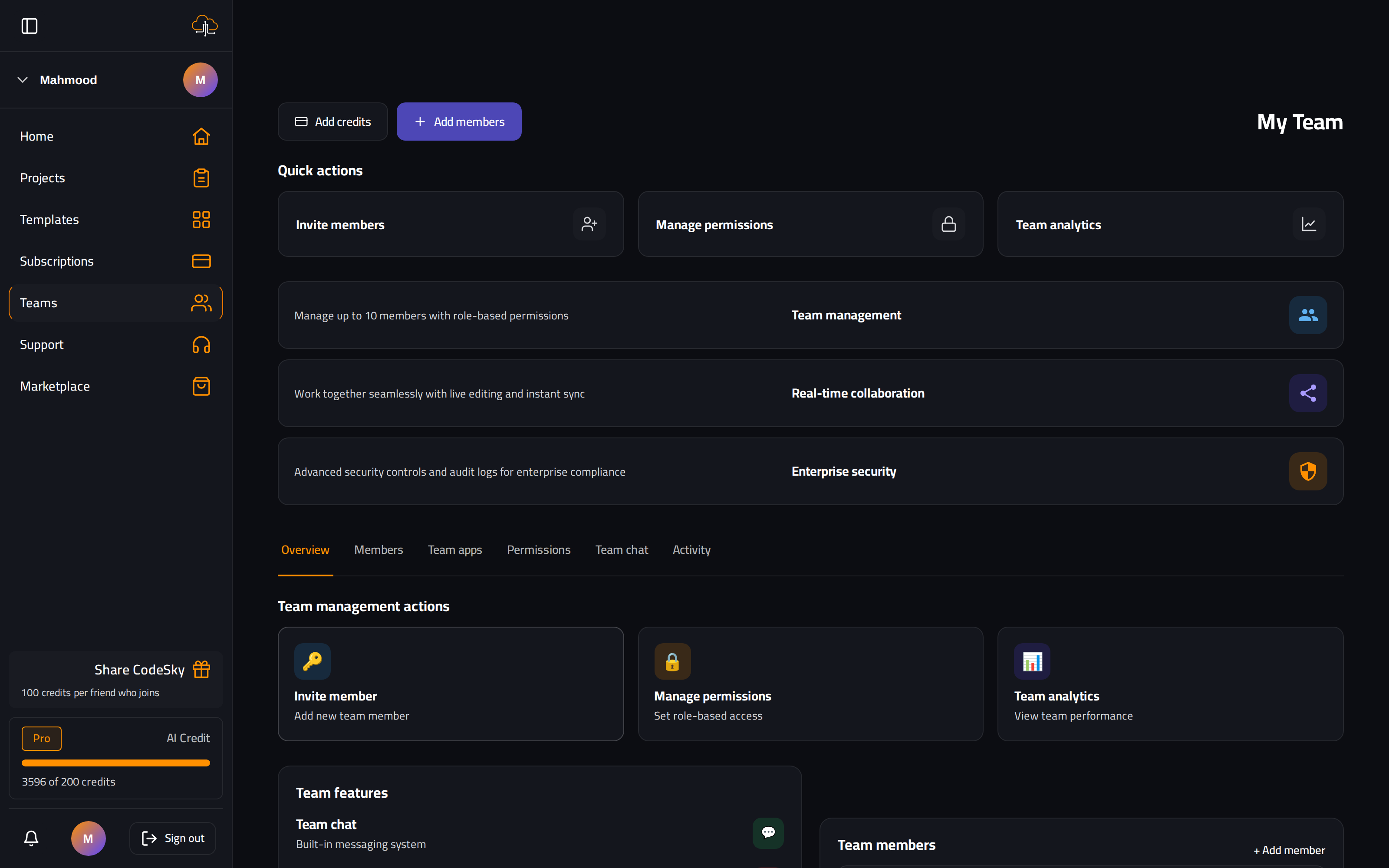 The Codesky Teams workspace with member invites, permissions and team analytics